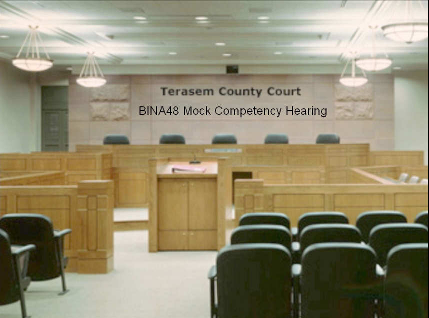 Terasem courtroom